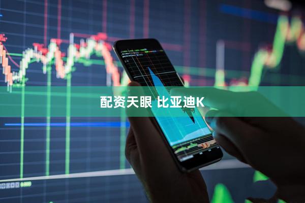 配资天眼 比亚迪K