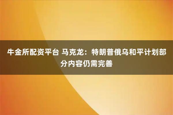 牛金所配资平台 马克龙：特朗普俄乌和平计划部分内容仍需完善