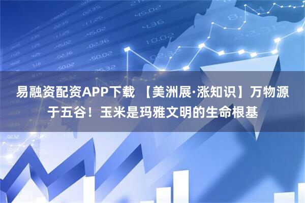 易融资配资APP下载 【美洲展·涨知识】万物源于五谷！玉米是玛雅文明的生命根基